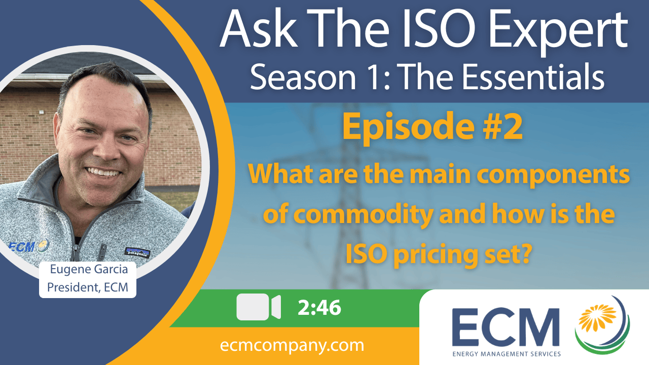 What are the main components of commodity and how the ISO pricing is set